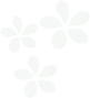 花びら